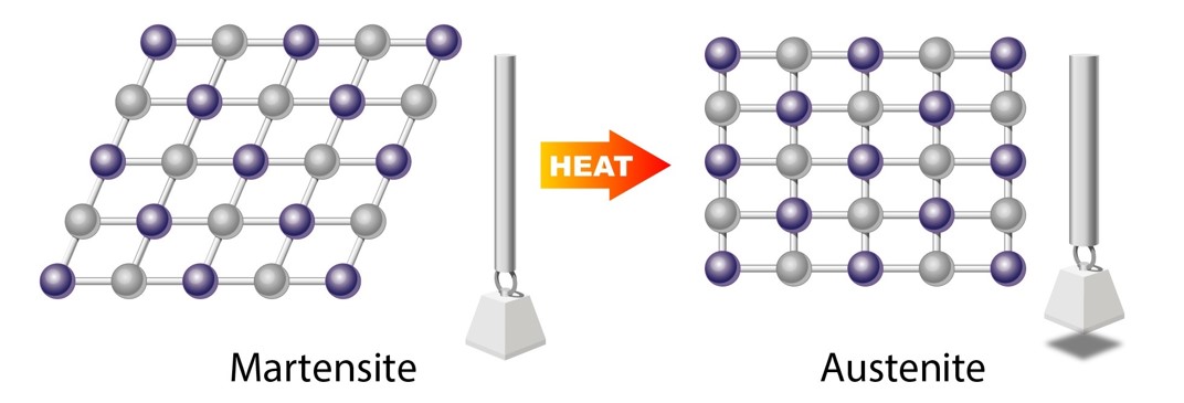 SMA transition